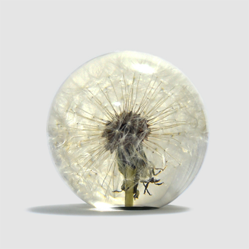 Hafod Grange / Paper Weight (Dandelion)