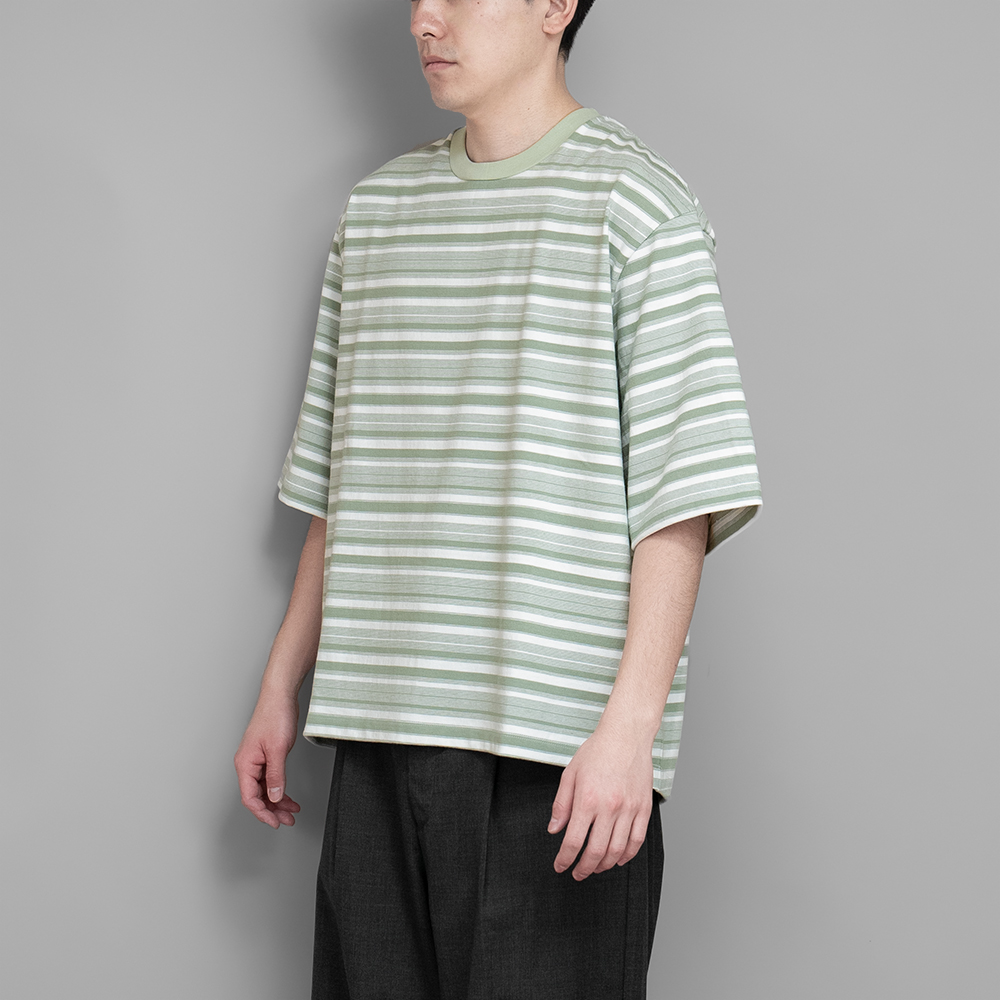 POLYPLOID / T Shirt #B (Sage/White)