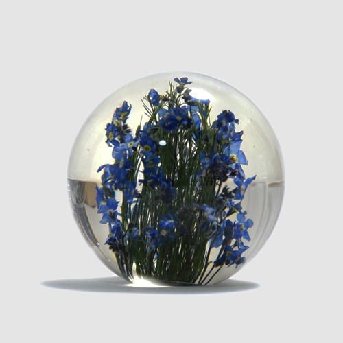 Hafod Grange / Paper Weight (Forget Me Not)