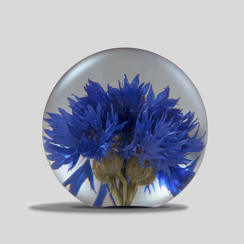 Hafod Grange / Paper Weight (Cornflower)
