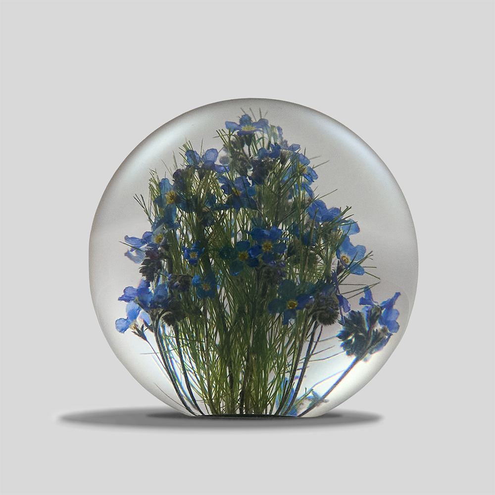 Hafod Grange / Paper Weight (Forget Me Not)