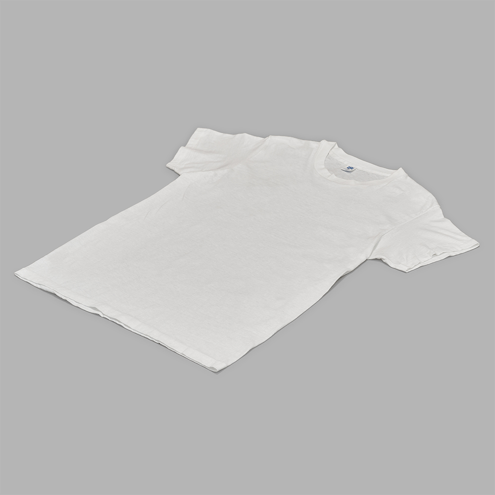 USED / 70s Hanes Brank T-Shirt