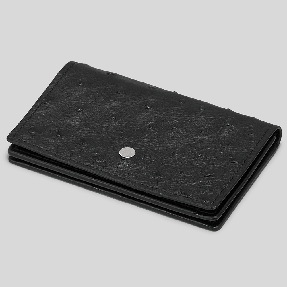 forme for twelve / Card Case (Ostrich)