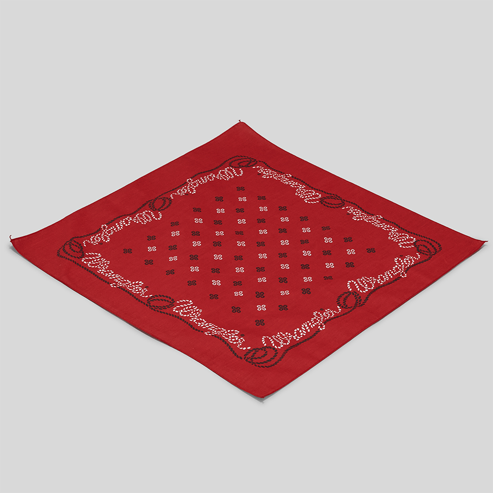 DEAD STOCK / Wrangler Vintage Bandana